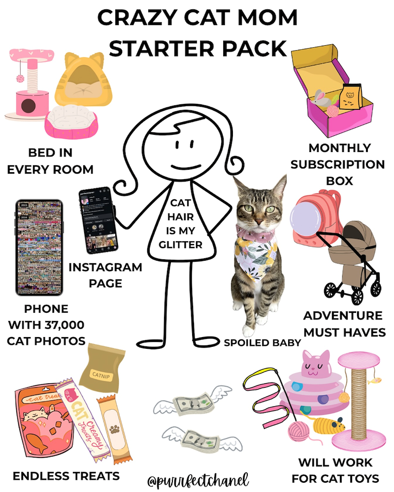 CRAZY CAT MOM STARTER PACK BED IN EVERY ROOM INSTAGRAM PAGE PHONE WITH 37,000 CAT PHOTOS cat treats. CATNIP CAT Creamy CAT HAIR IS MY GLITTER MONTHLY SUBSCRIPTION BOX SPOILED BABY 3 ADVENTURE MUST HAVES ENDLESS TREATS @purrfectchanel WILL WORK FOR CAT TOYS