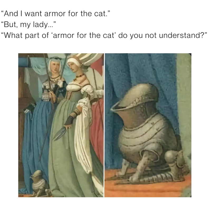 "And I want armor for the cat." "But, my lady..." “What part of ‘armor for the cat do you not understand?"