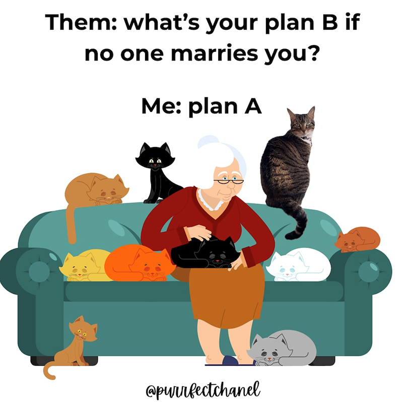 Them: what's your plan B if no one marries you? Me: plan A @purrfectchanel