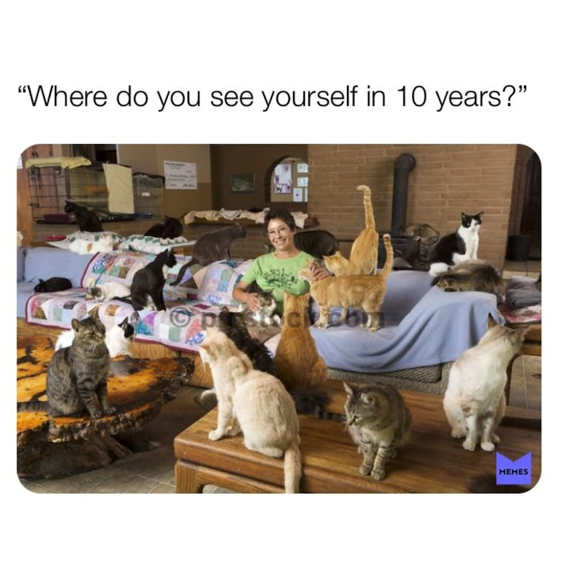 "Where do you see yourself in 10 years?" C MEMES