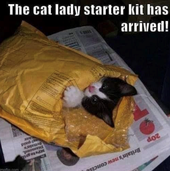 The cat lady starter kit has arrived! Electron MPs to gri Diamond, Britain's st-paid ker imgflip.com 20p Britain's new concis