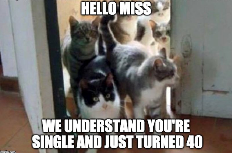 HELLO MISS imaflip.com WE UNDERSTAND YOU'RE SINGLE AND JUST TURNED 40