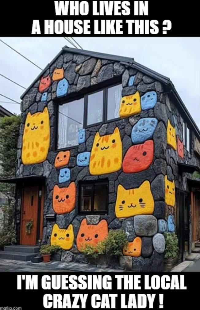 maflip.com WHO LIVES IN A HOUSE LIKE THIS? I'M GUESSING THE LOCAL CRAZY CAT LADY!