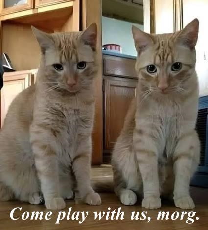 Come play with us, morg.