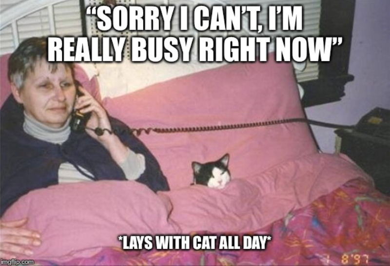 "SORRY I CAN'T, I'M REALLY BUSY RIGHT NOW" LAYS WITH CAT ALL DAY* 8'97 imgflip.com