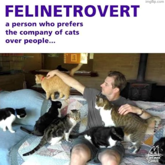 FELINETROVERT a person who prefers the company of cats over people... imgflip.com M CAT MAN CHRIS