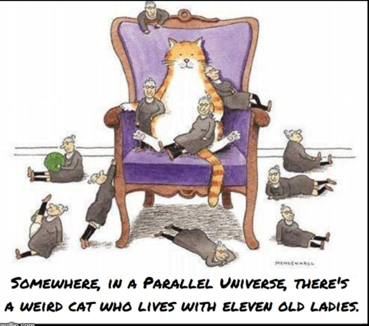 MENSENHALL SOMEWHERE, IN A PARALLEL UNIVERSE, THERE'S A WEIRD CAT WHO LIVES WITH ELEVEN OLD LADIES. maflin