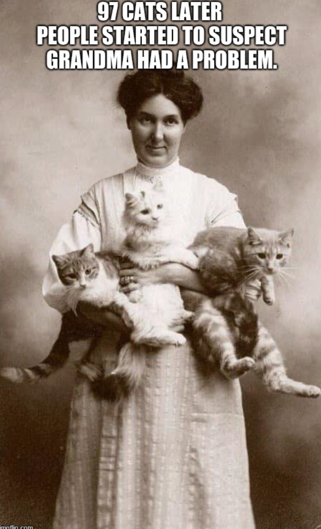 moflin com 97 CATS LATER PEOPLE STARTED TO SUSPECT GRANDMA HAD A PROBLEM.