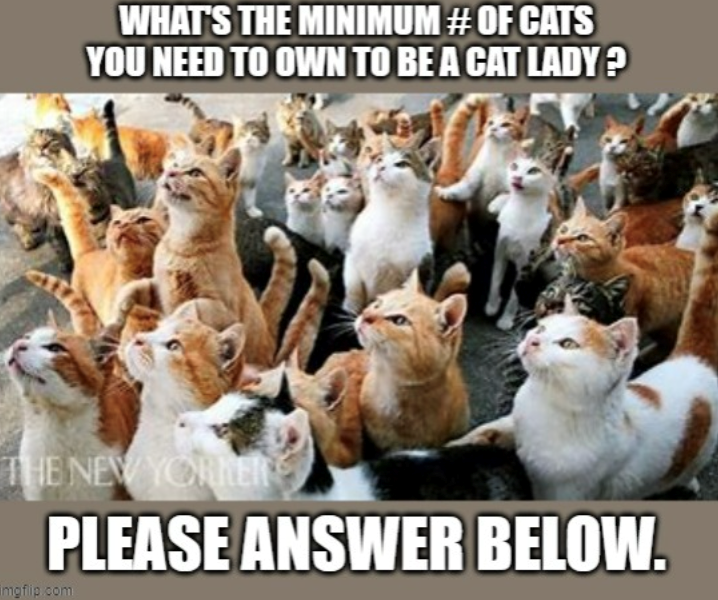 WHAT'S THE MINIMUM # OF CATS YOU NEED TO OWN TO BE A CAT LADY? THE NEW YORKER PLEASE ANSWER BELOW. Imgflip.com