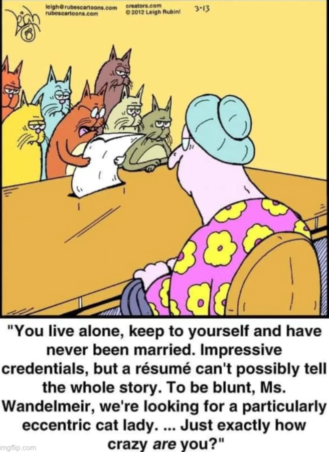leigh@rubescartoons.com creators.com rubescartoons.com 2012 Leigh Rubin! 3-13 " 18 "You live alone, keep to yourself and have never been married. Impressive credentials, but a résumé can't possibly tell the whole story. To be blunt, Ms. Wandelmeir, we're looking for a particularly eccentric cat lady.... Just exactly how crazy are you?" imgflip.com