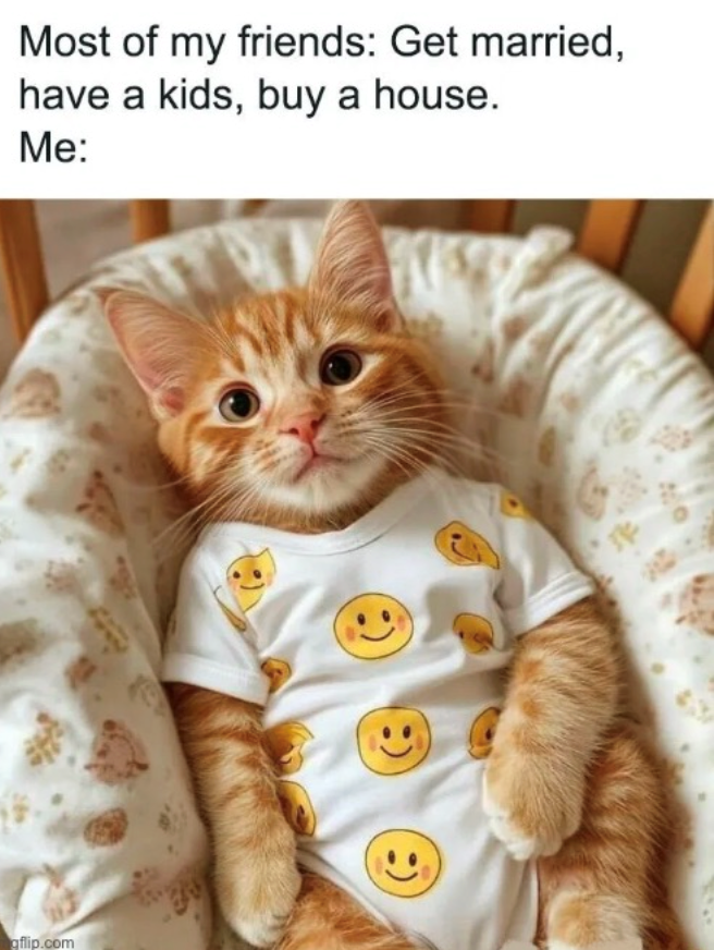 Most of my friends: Get married, I have a kids, buy a house. Me: gflip.com :) :)