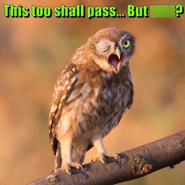 This too shall pass... But ?