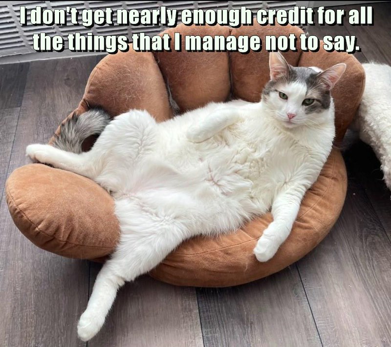 I don't get nearly enough credit for all the things that I manage not to say.
