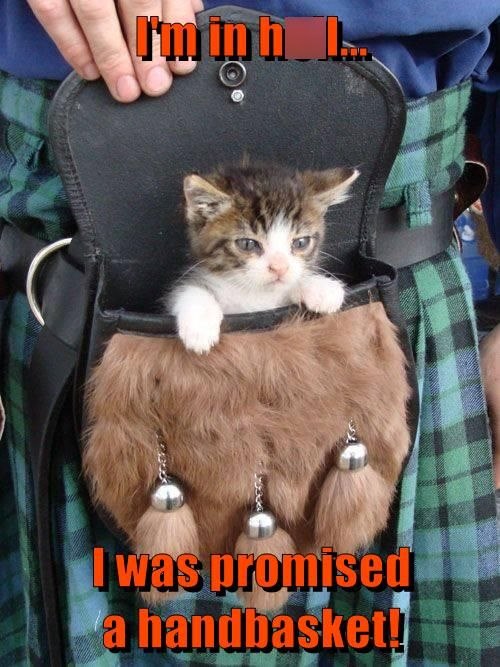 I'm in h Th I was promised a handbasket!