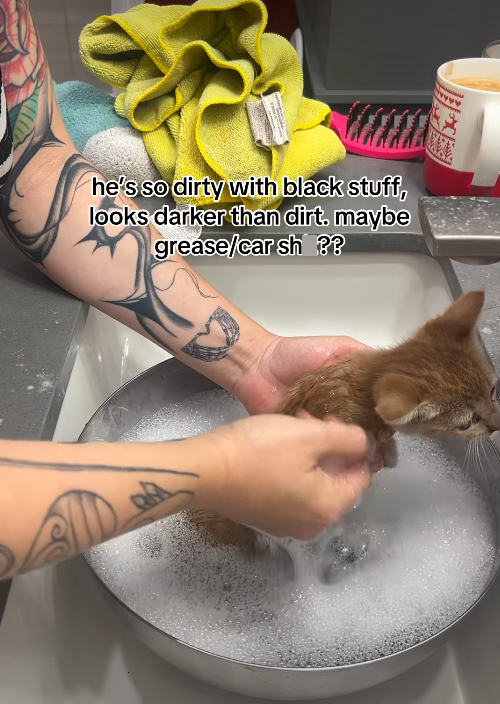wwwww he's so dirty with black stuff, looks darker than dirt. maybe grease/car sh ??