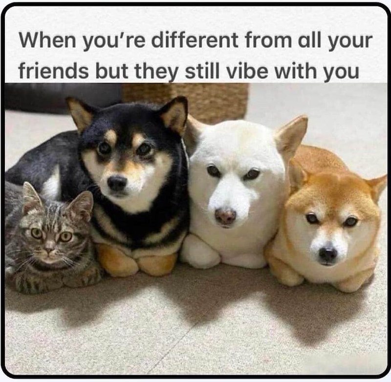 When you're different from all your friends but they still vibe with you