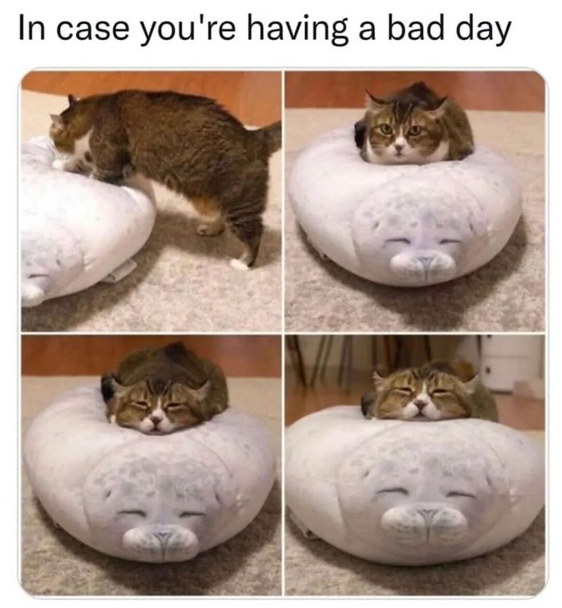 In case you're having a bad day