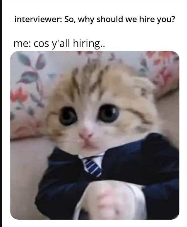 interviewer: So, why should we hire you? me: cos y'all hiring..