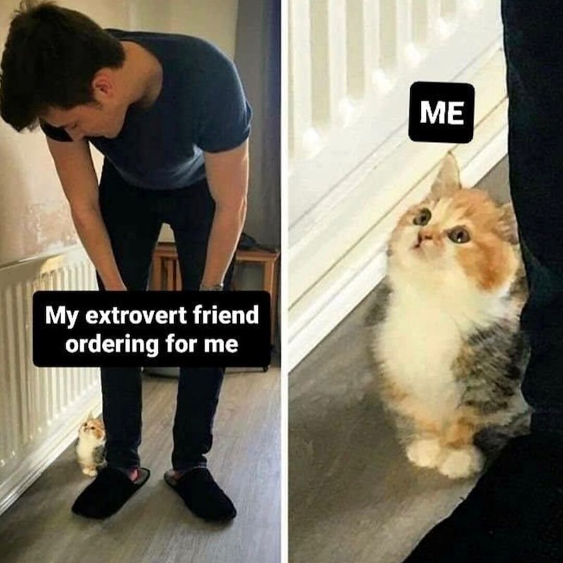 My extrovert friend ordering for me ME