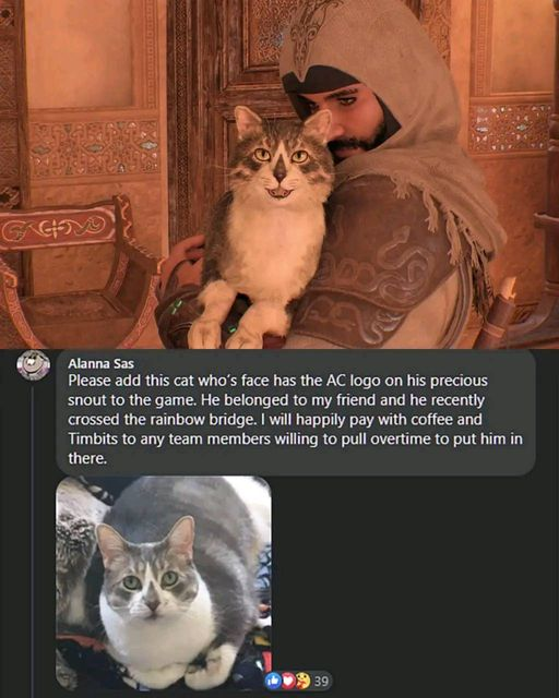 Alanna Sas Please add this cat who's face has the AC logo on his precious snout to the game. He belonged to my friend and he recently crossed the rainbow bridge. I will happily pay with coffee and Timbits to any team members willing to pull overtime to put him in there. 39