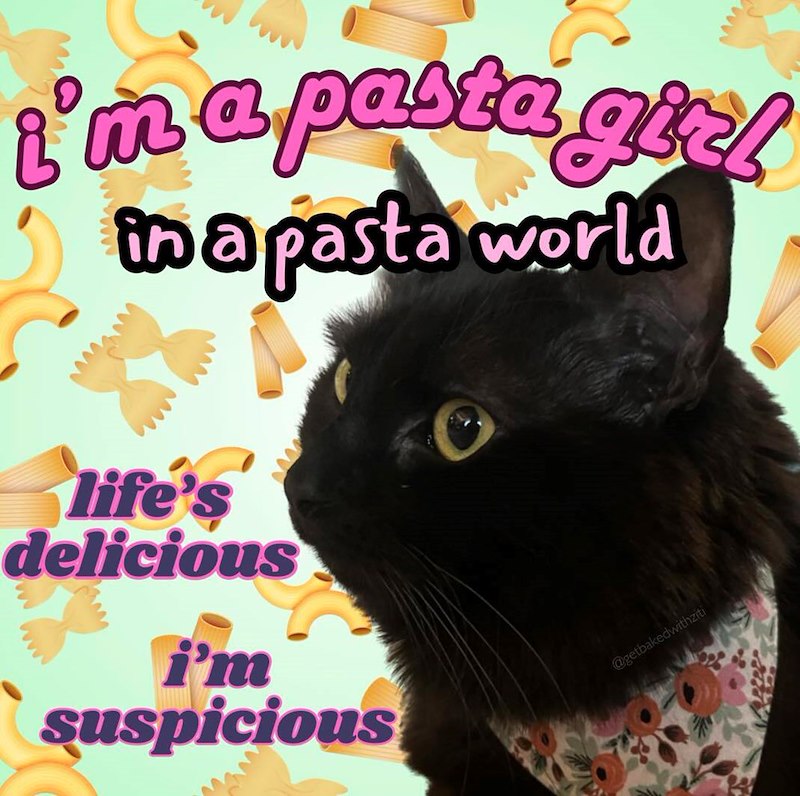 I'm a pasta girl in a pasta world life's delicious www i'm suspicious @getbakedwithziti