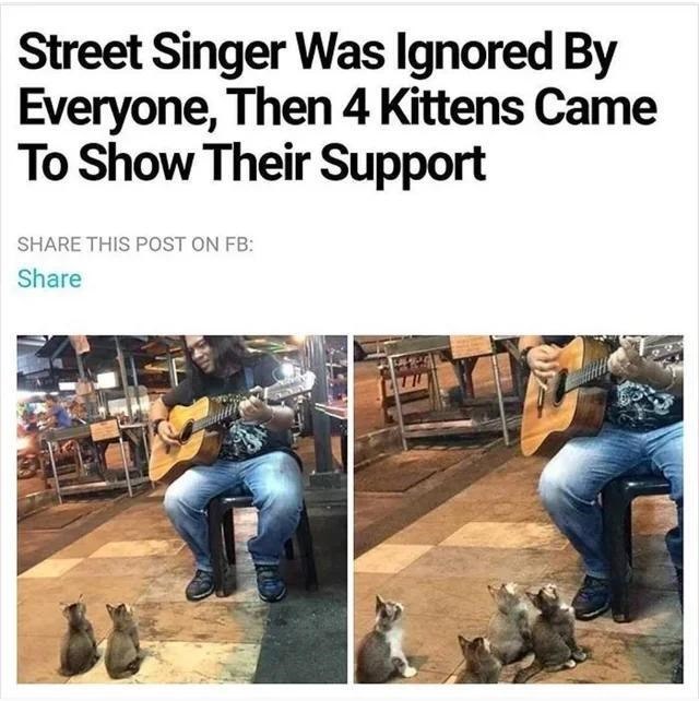Street Singer Was Ignored By Everyone, Then 4 Kittens Came To Show Their Support SHARE THIS POST ON FB: Share