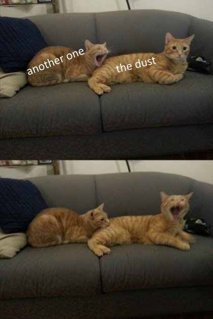 another one the dust