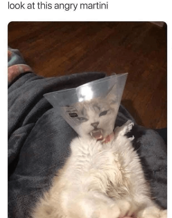 look at this angry martini