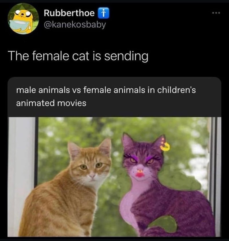 Rubberthoe i @kanekosbaby The female cat is sending male animals vs female animals in children's animated movies 800