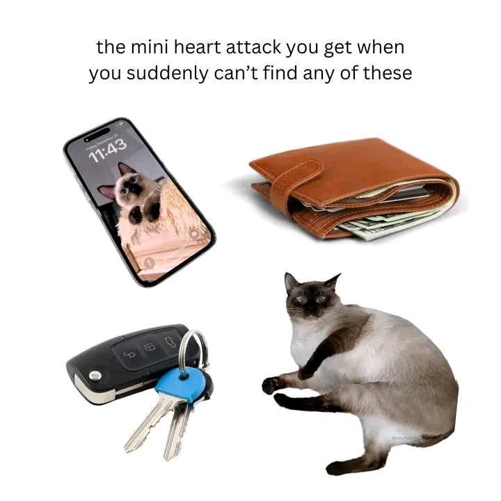 the mini heart attack you get when you suddenly can't find any of these 11:43