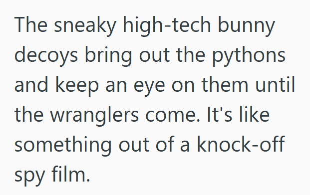 The sneaky high-tech bunny decoys bring out the pythons and keep an eye on them until the wranglers come. It's like something out of a knock-off spy film.