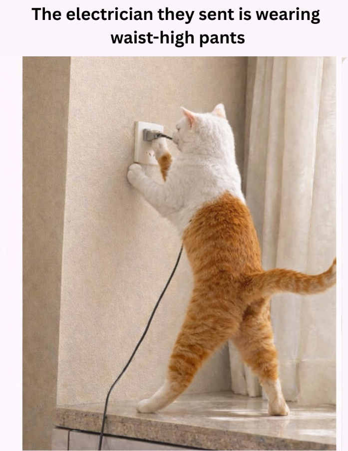 The electrician they sent is wearing waist-high pants