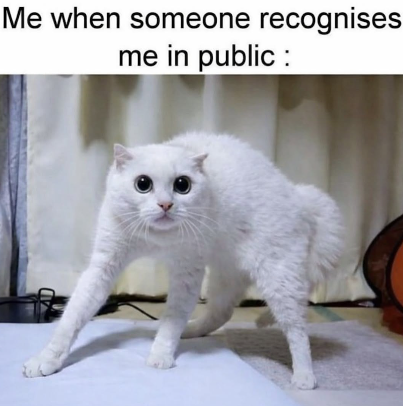 Me when someone recognises me in public :