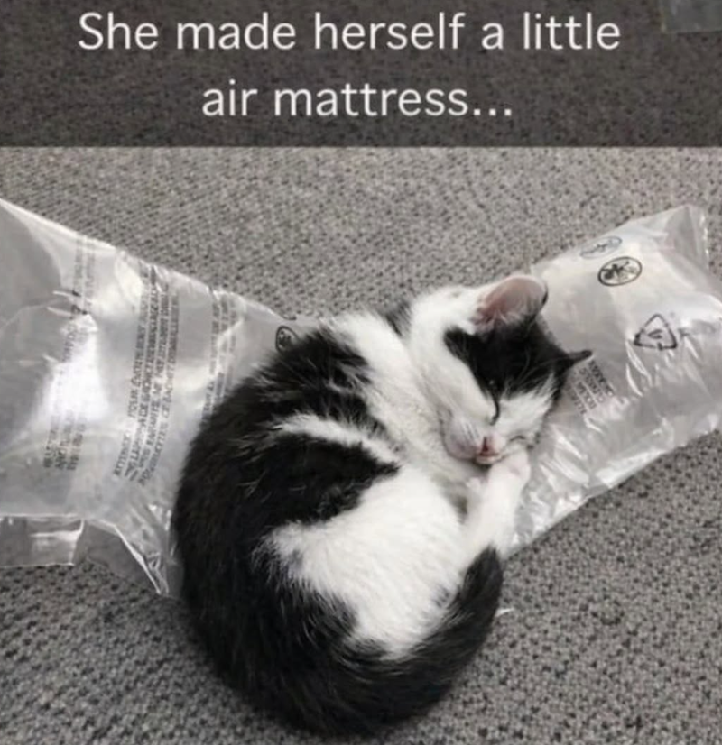 MOU POCITES CE BACHET DOLLARR She made herself a little air mattress... STAND AVPRIC