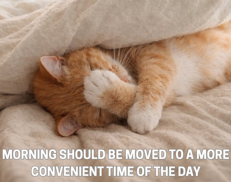 MORNING SHOULD BE MOVED TO A MORE CONVENIENT TIME OF THE DAY