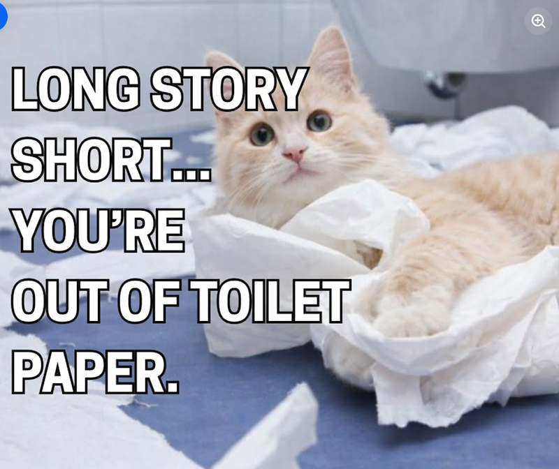 LONG STORY SHORT... YOU'RE OUT OF TOILET PAPER.