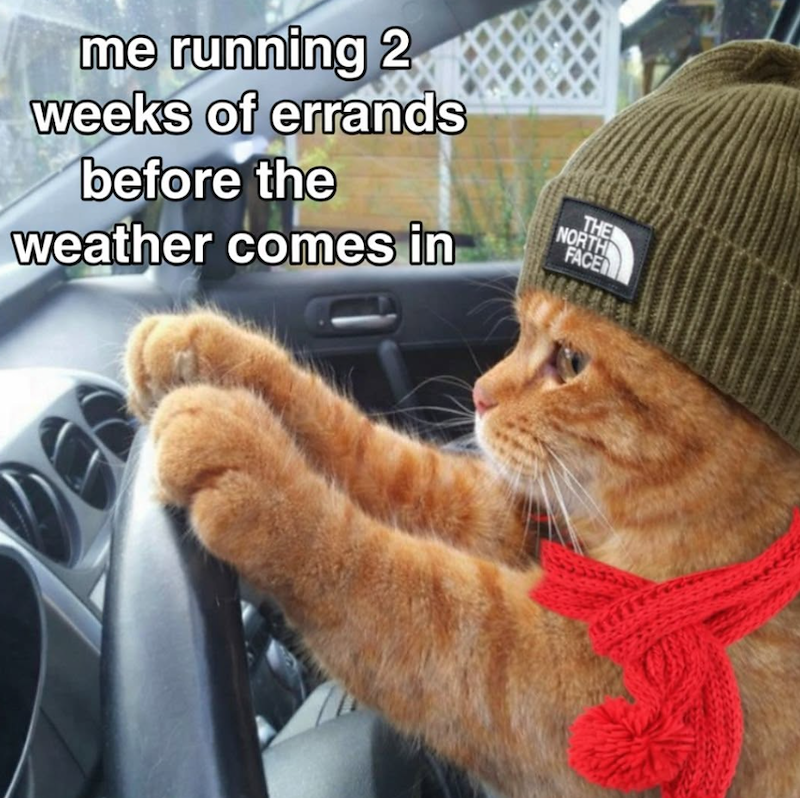 me running 2 weeks of errands before the weather comes in THE NORTH FACE