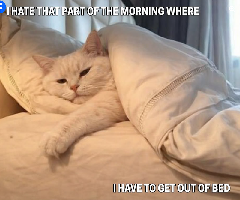 I HATE THAT PART OF THE MORNING WHERE I HAVE TO GET OUT OF BED