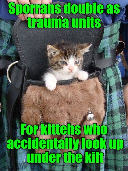 Sporrans double as trauma units For kittehs who accidentally look up under the kilt