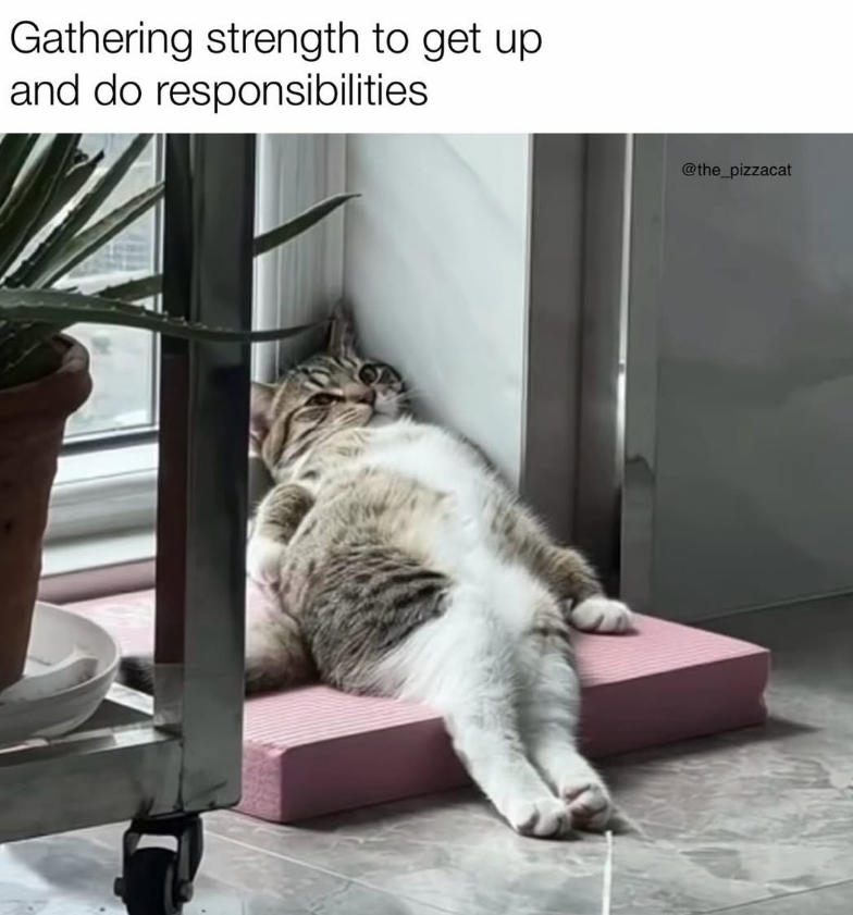 Gathering strength to get up and do responsibilities @the_pizzacat