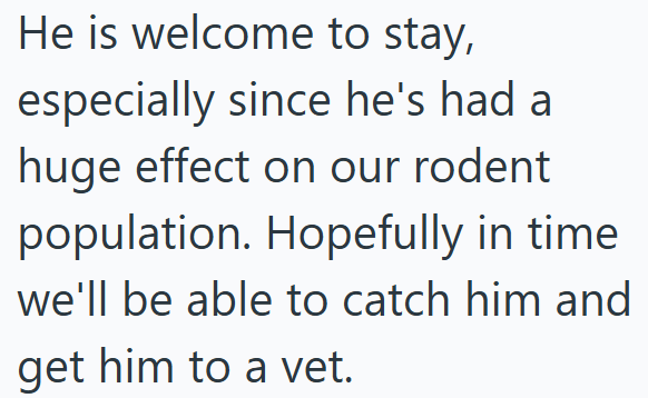 He is welcome to stay, especially since he's had a huge effect on our rodent population. Hopefully in time we'll be able to catch him and get him to a vet.