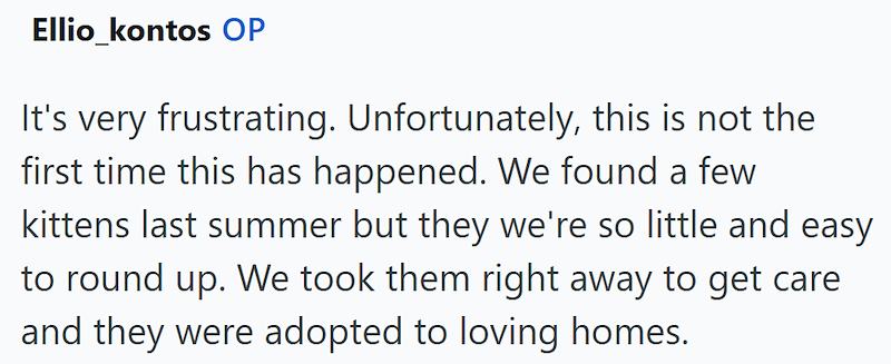 Ellio_kontos OP It's very frustrating. Unfortunately, this is not the first time this has happened. We found a few kittens last summer but they we're so little and easy to round up. We took them right away to get care. and they were adopted to loving homes.