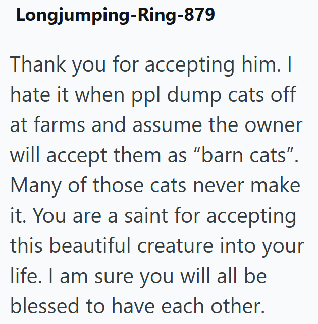 Longjumping-Ring-879 Thank you for accepting him. I hate it when ppl dump cats off at farms and assume the owner will accept them as "barn cats". Many of those cats never make it. You are a saint for accepting this beautiful creature into your life. I am sure you will all be blessed to have each other.