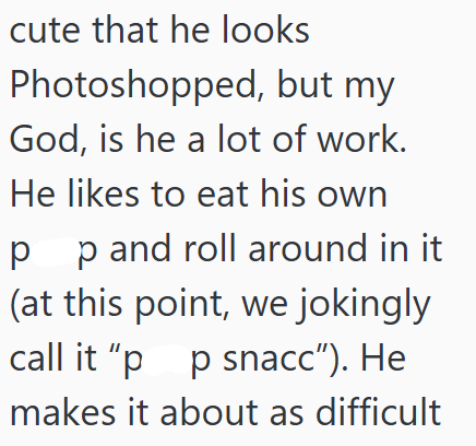 cute that he looks Photoshopped, but my God, is he a lot of work. He likes to eat his own р p and roll around in it (at this point, we jokingly call it "pp snacc"). He makes it about as difficult