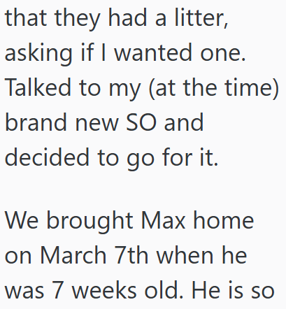 that they had a litter, asking if I wanted one. Talked to my (at the time) brand new SO and decided to go for it. We brought Max home on March 7th when he was 7 weeks old. He is so