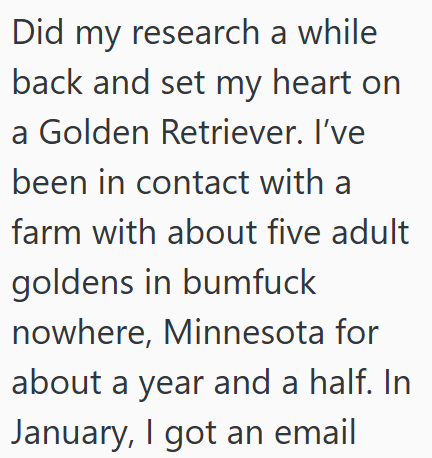 Did my research a while back and set my heart on a Golden Retriever. I've been in contact with a farm with about five adult goldens in bumfuck nowhere, Minnesota for about a year and a half. In January, I got an email