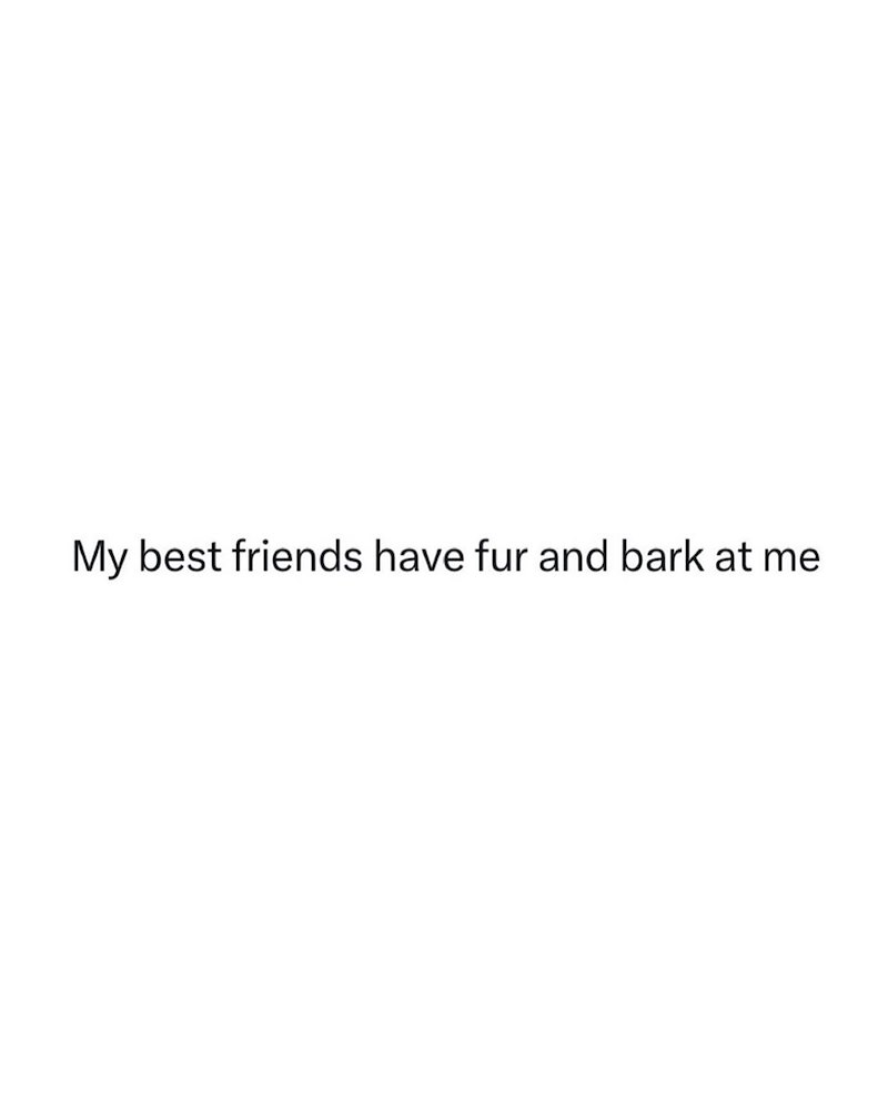 My best friends have fur and bark at me