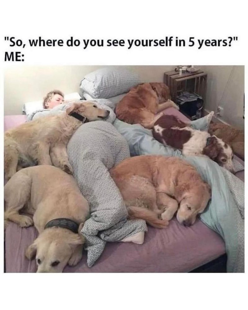 "So, where do you see yourself in 5 years?" ME: