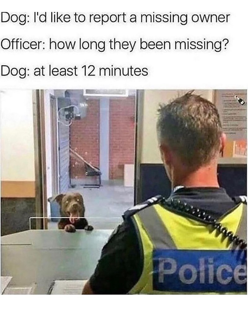Dog: I'd like to report a missing owner Officer: how long they been missing? Dog: at least 12 minutes Police