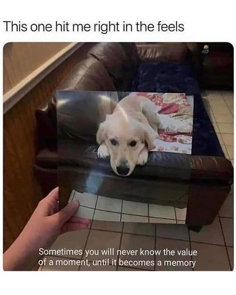 This one hit me right in the feels. Sometimes you will never know the value of a moment, until it becomes a memory